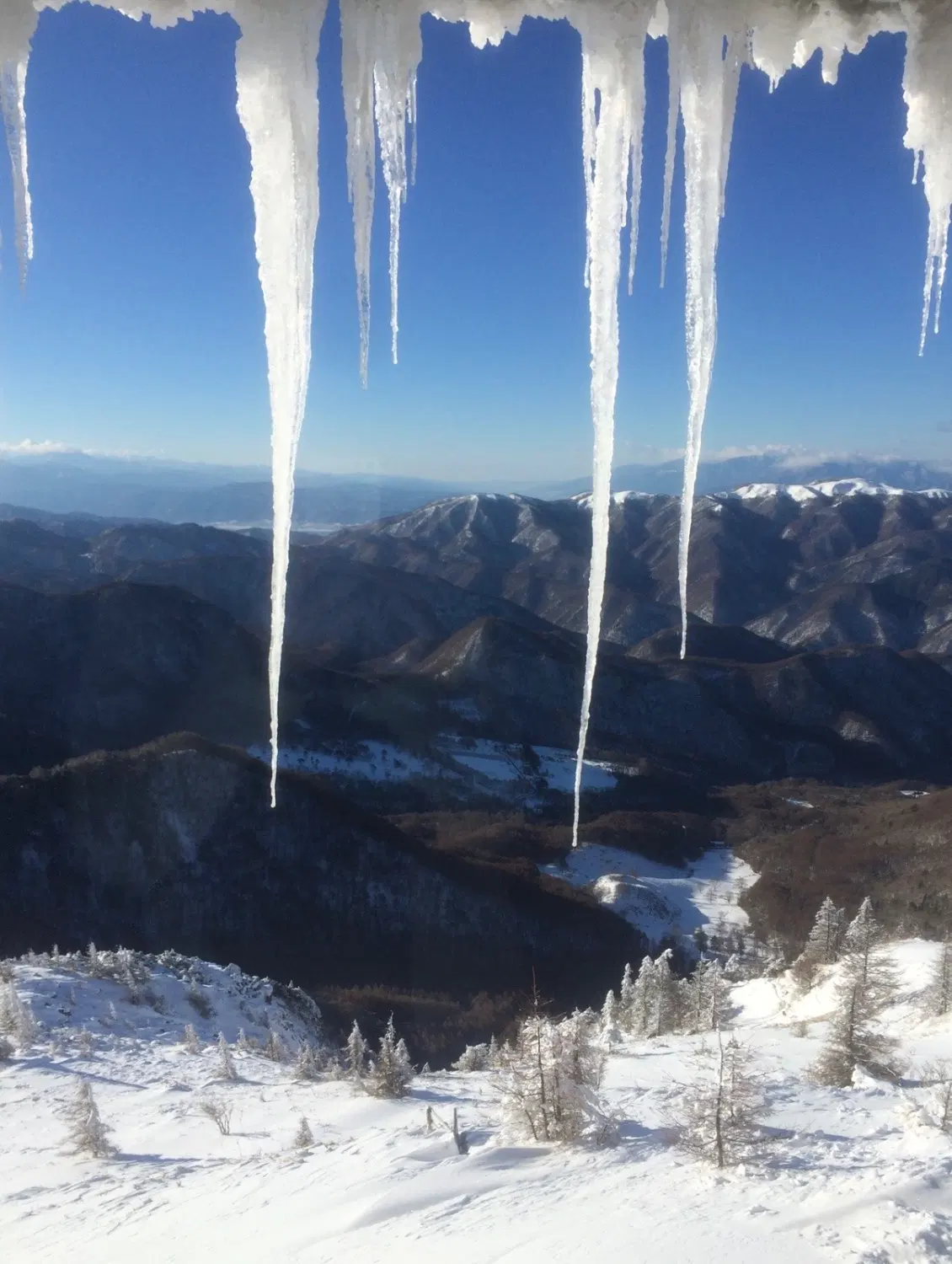 つららの向こうに雪山が広がっている