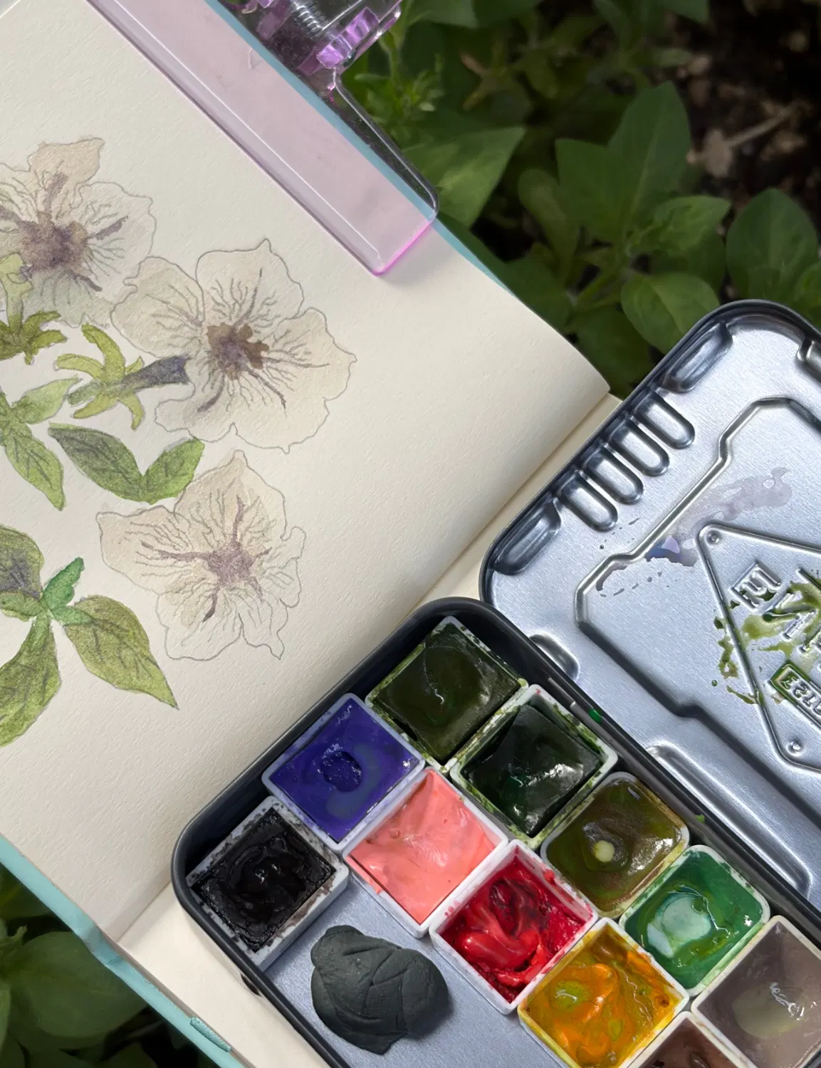 鉛筆と水彩で花を描いたスケッチブックと缶に入った固形水彩絵の具