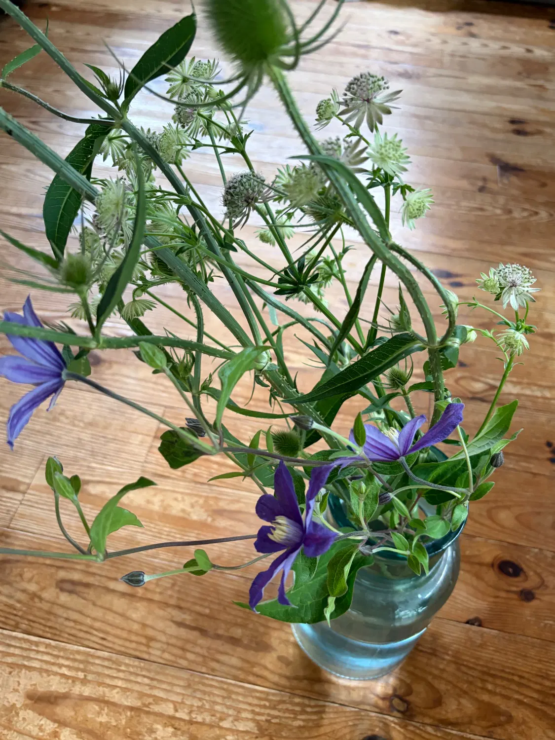 大きなガラスの花瓶にいけた花の写真。チーゼル、クレマチス、アストランチア。
