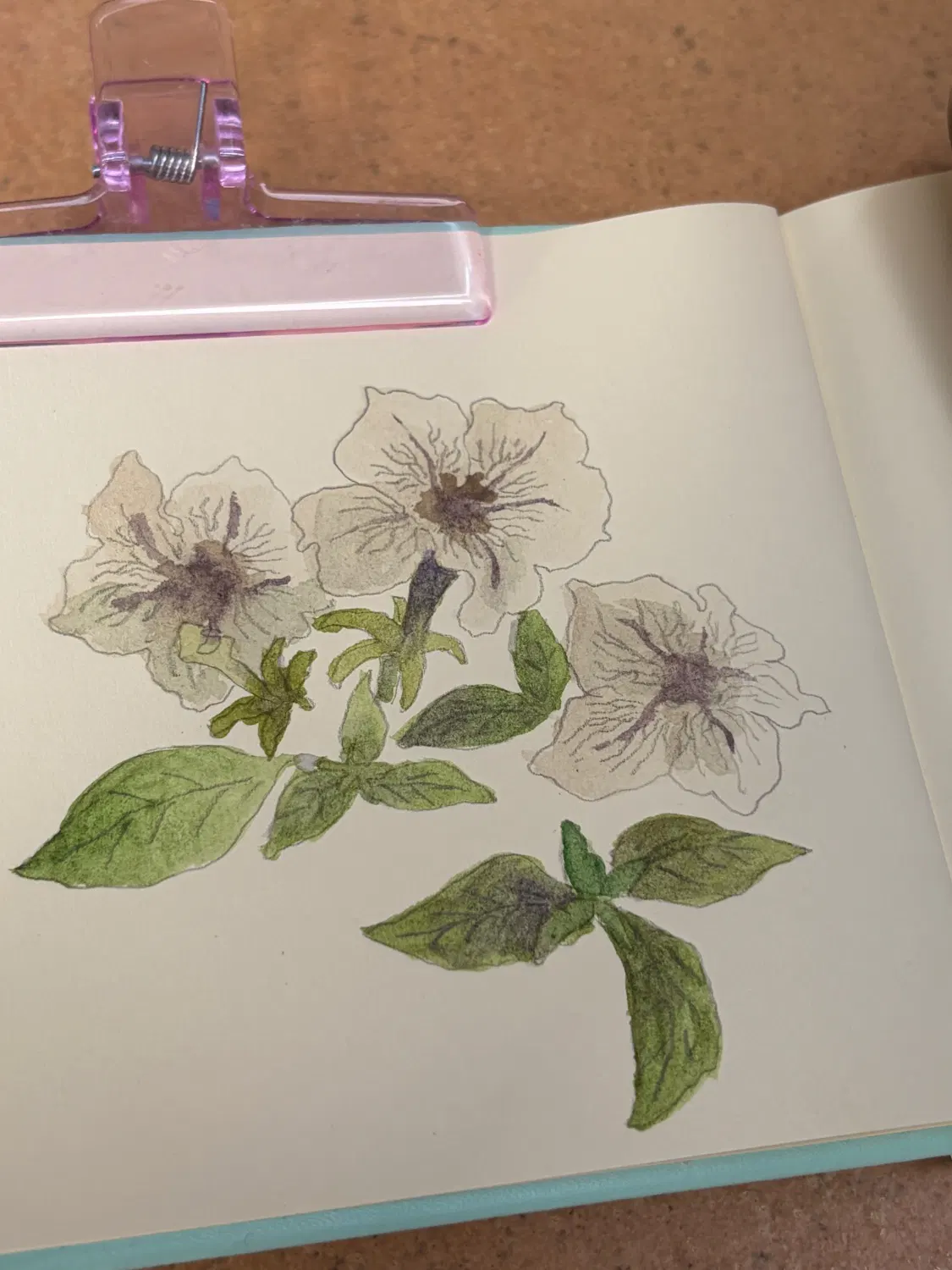 鉛筆と水彩で花が描かれたスケッチブック
