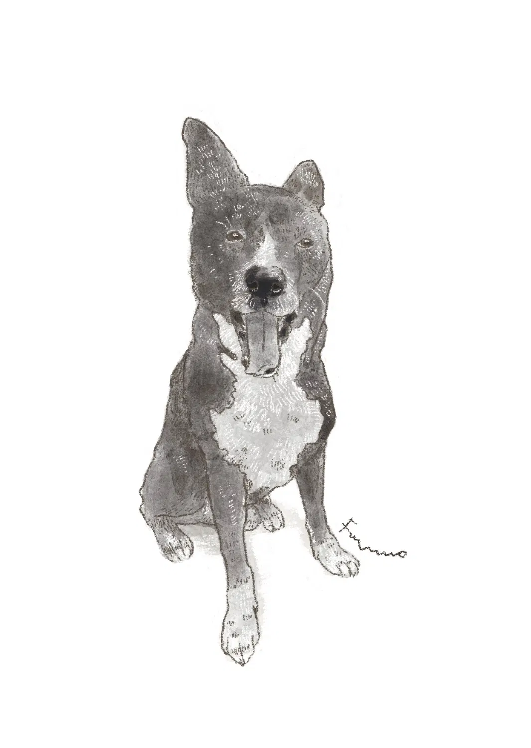 雑種の黒い中型犬がこちらを向いて座っているデジタルイラスト。目線は左に向けている。立ち耳で足先と胸が白い。かわいいね。