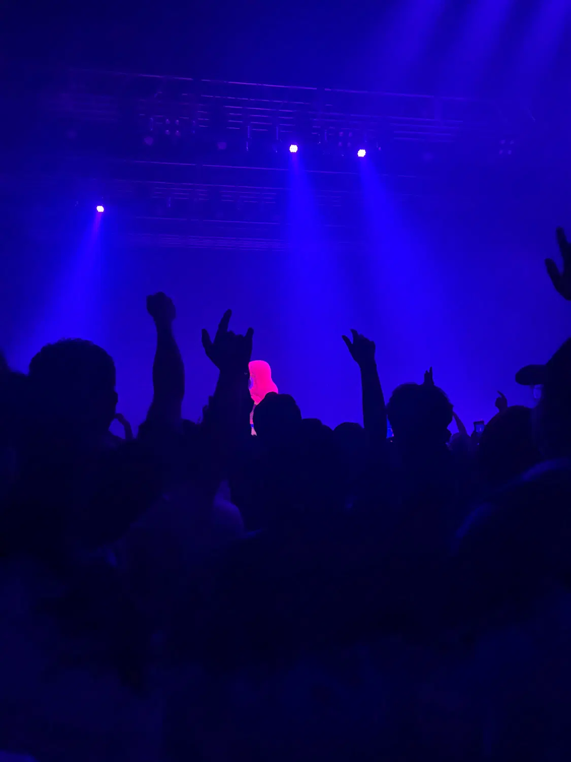 ライブハウス内の写真。ステージに向かってたくさんの人が手を突き上げている